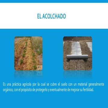 El acolchado | PPT