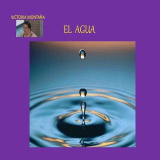 El  agua, aporte de Victoria Montaña