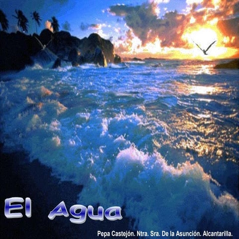 El agua en primero de Primaria