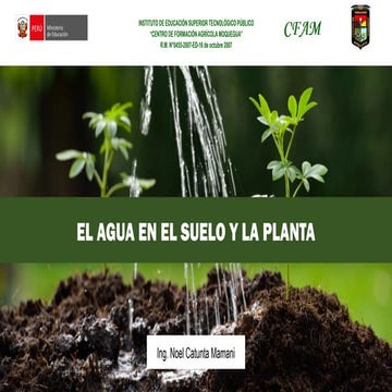 El agua en el suelo y la planta.....pptx