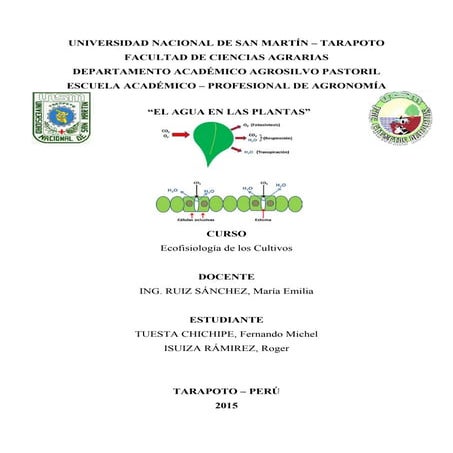 El agua en las plantas