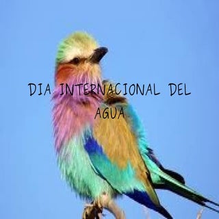 El agua es una fuente de vida