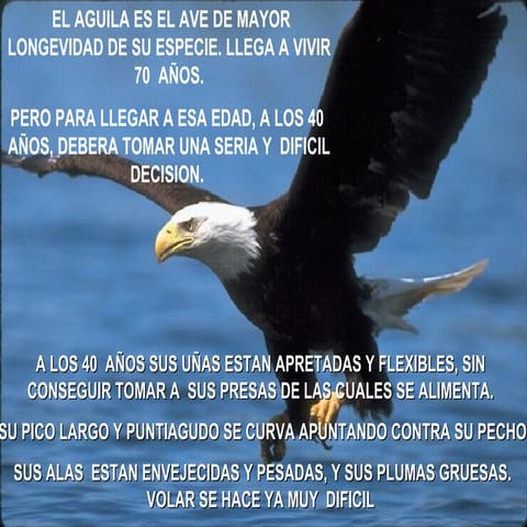 El Aguila