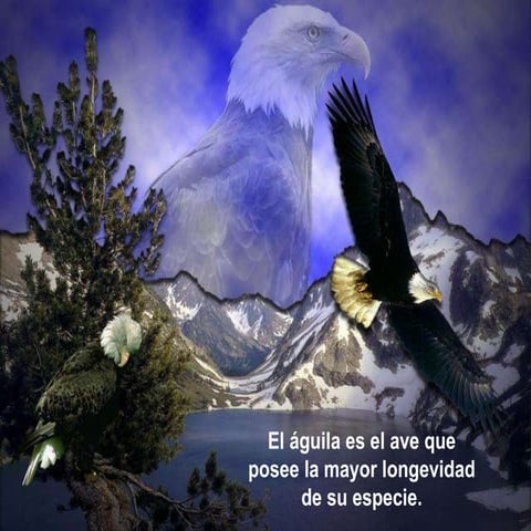 El aguila