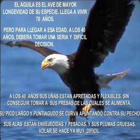 El Aguila