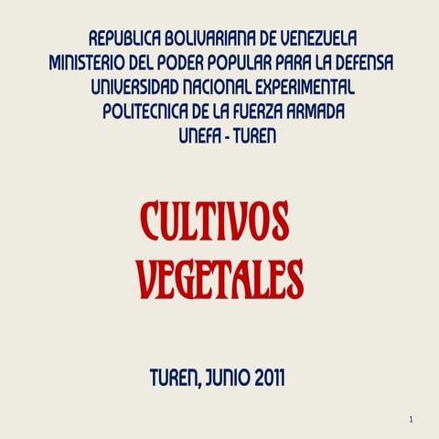 el aji. Hortalizas. Cultivos vegetales.pptx.pdf
