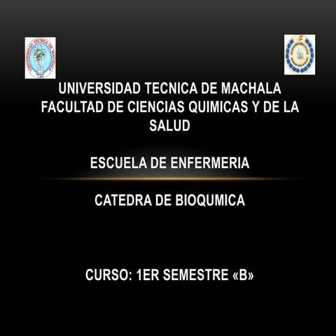 El alcohol en nuestro organismo