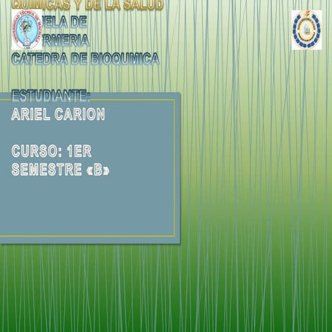 El alcohol en nuestro organismo