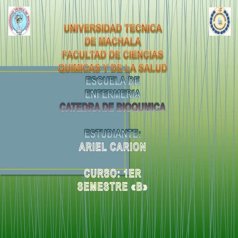 El alcohol en nuestro organismo