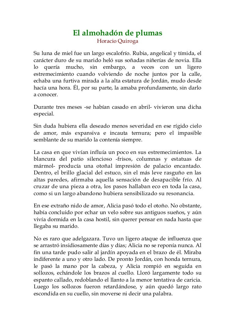 Cuento El Almohadon De Plumas Analisis