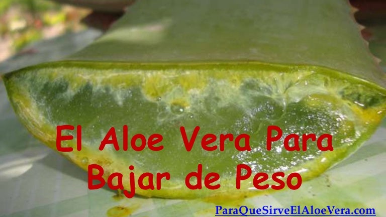 agua de aloe vera para bajar de peso