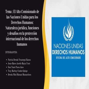 El Alto Comisionado de las Naciones Unidas para los Derechos Humanos | PDF