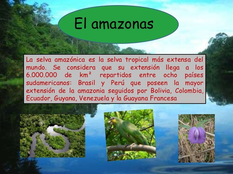El Amazonas