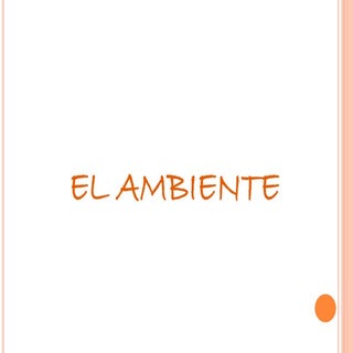 El ambiente