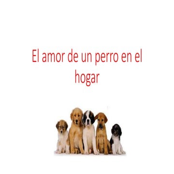 El amor de un perro en el hogar julian