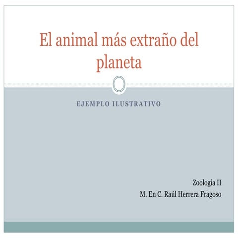 El animal más extraño del planeta