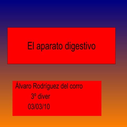 El Aparato Digestivo