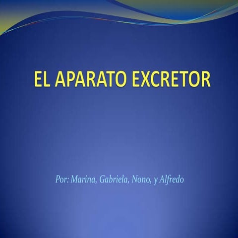 El aparato excretor