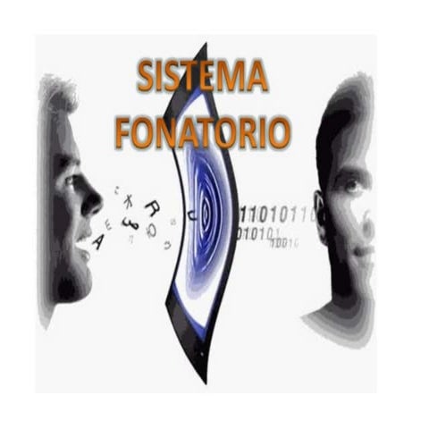 El aparato fonador