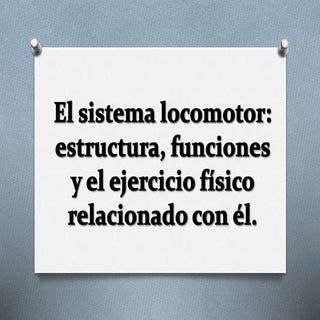 El aparato locomotor.