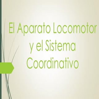 El Aparato Locomotor y el Sistema C...