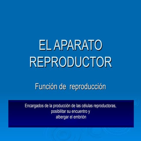 El aparato reproductor