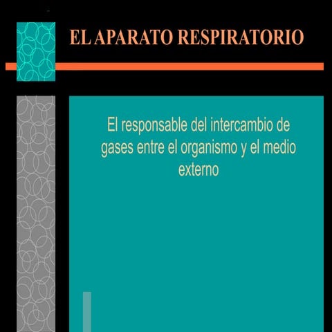 El Aparato Respiratorio