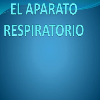 El aparato respiratorio