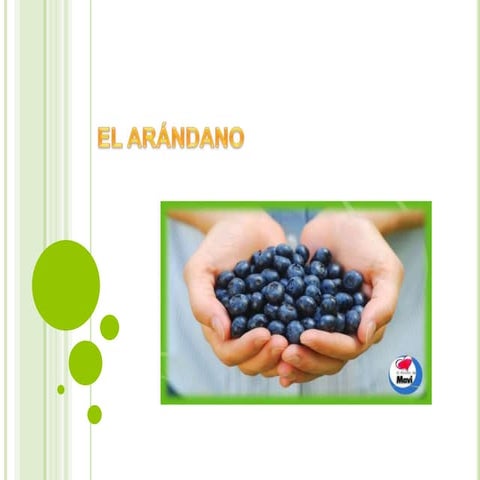 El arándano