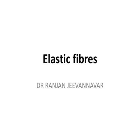 Elastic fibres