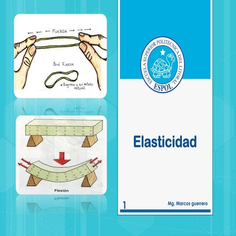 Elasticidad FISICA B