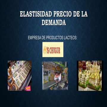 ELASTICIDAD PRECIO DE LA DEMANDA (APLICADO A UN EMPRESA)