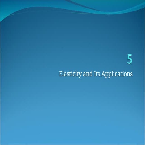 elasticity designed pakistan pujab economics macro.ppt