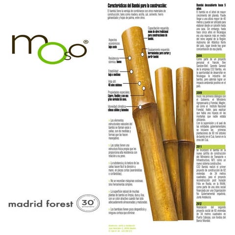 El bambúenlaconstrucción