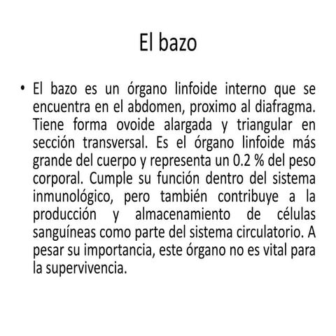 El bazo