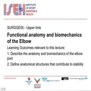 Elbow anatomy and biomechanics