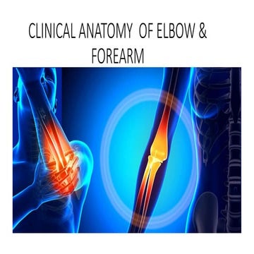 ELBOW AND FOREARM.pptx5tttttttgtggffffggggggg