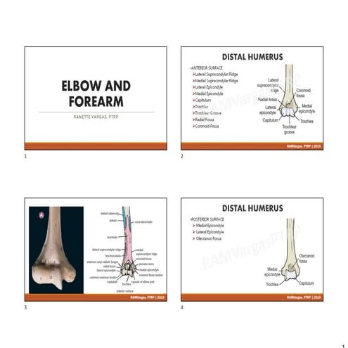 Radiographic techniques of elbow (Elbow) | PDF