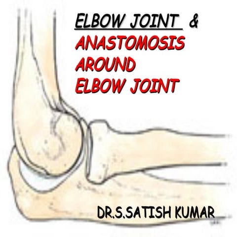 ELBOW JOINT and SUPERIOR AND INFERIOR RADIO ULNAR JOINT