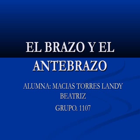 El brazo y el antebrazo