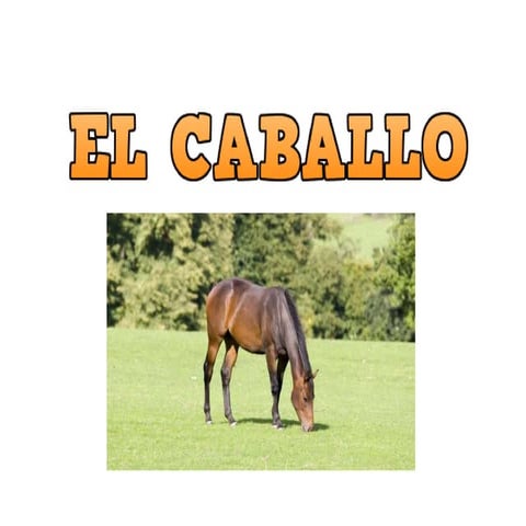 EL CABALLO