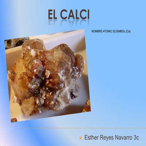 El Calci | PPTX