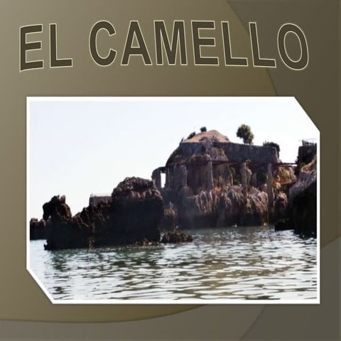 El Camello 2015