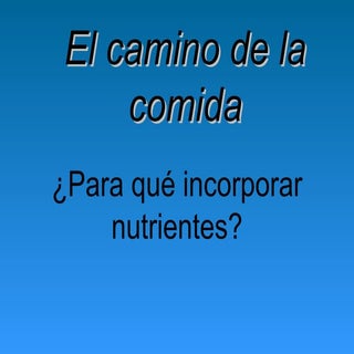 El camino de_la_comida-revisado