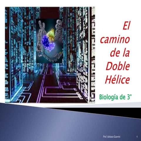 El camino de la doble hélice