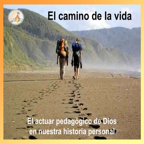 El camino de la vida