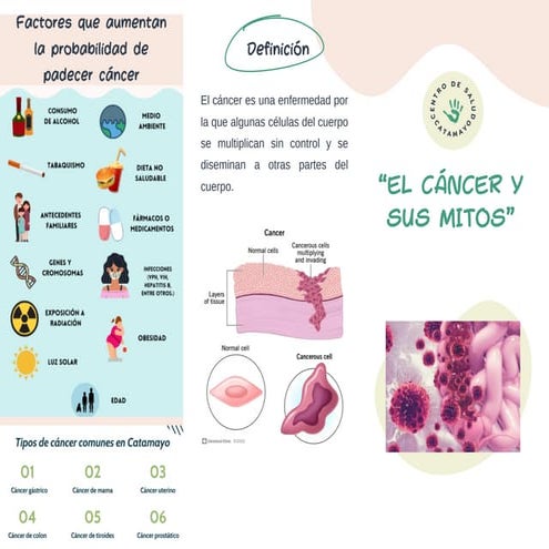 FACTORES QUE AUMENTAN LA PROBABILIDAD DE PADECER CANCER | PDF