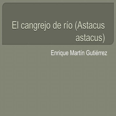 El cangrejo de río enrique | PPTX