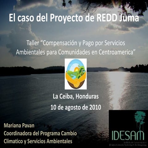 HONDURAS COURSE - El caso del proyecto REDD de Juma / Mariana Pavan
