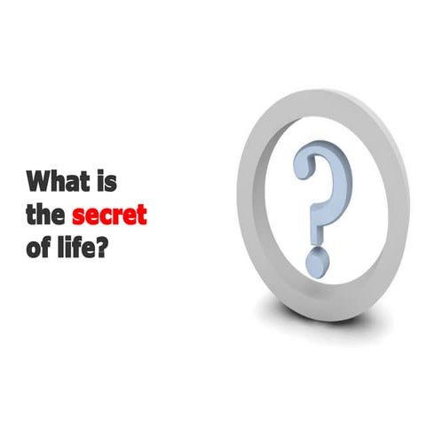 What is the Secret of a Successful Business Life?